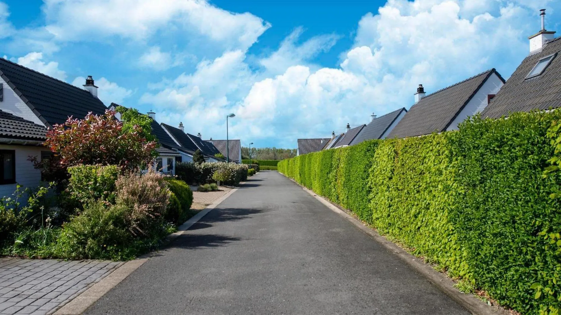 Cosy Holiday Home Near The Marina Nieuwpoort 0*,